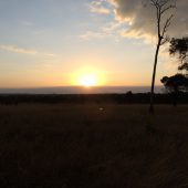  The Serengeti, TZ